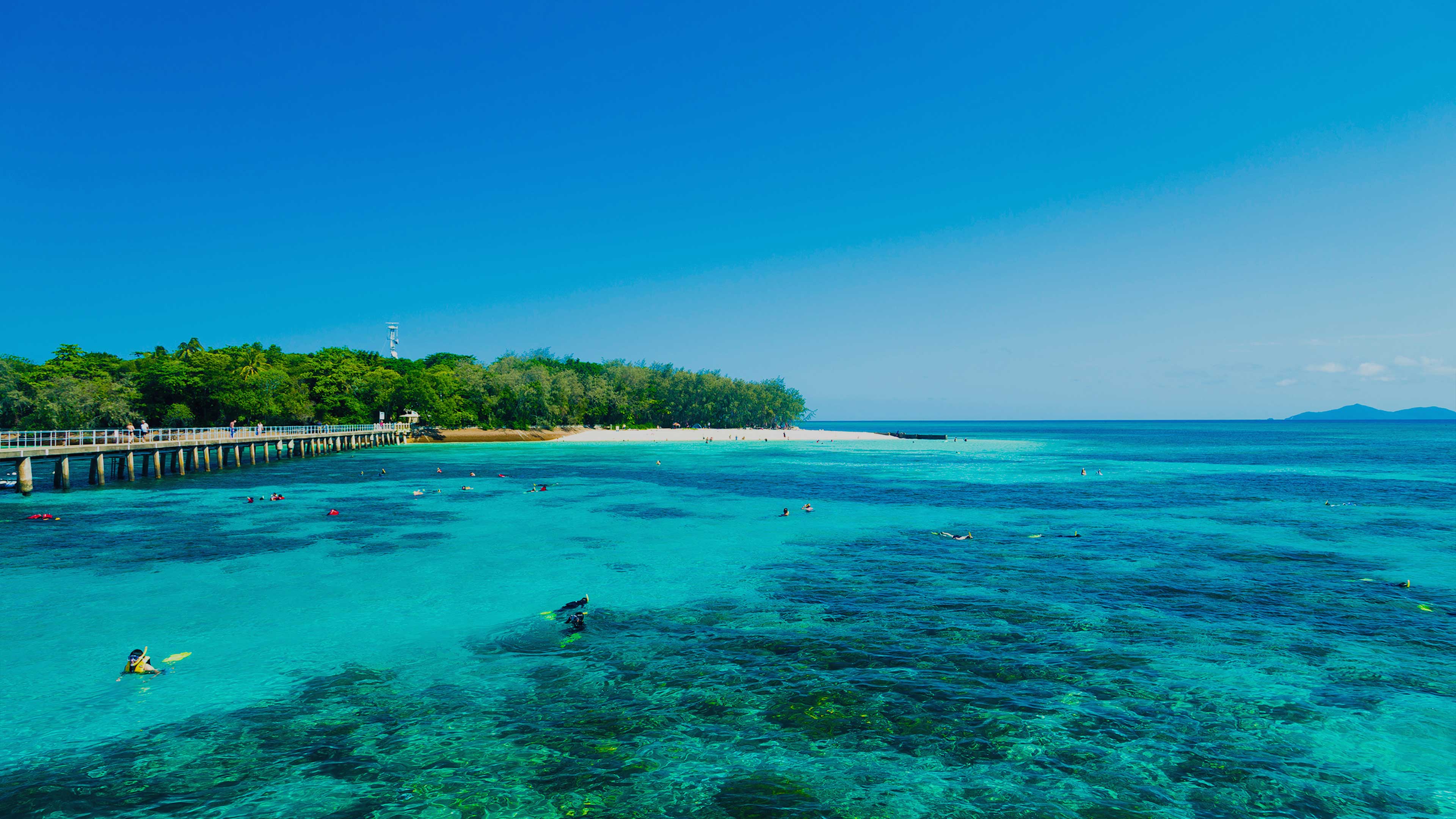 Where to Stay in Cairns: My Best Hotel Picks for Couples, Solo Travelers, Friend Trips, Families, Older Travelers, Every Budget, Scuba Divers, Honeymooners, and More